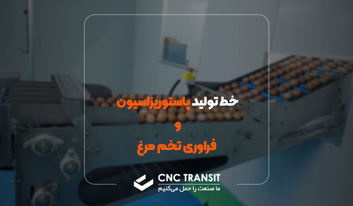 خط پاستوریزاسیون و فراوری تخم مرغ